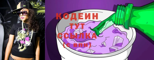сатива Покачи