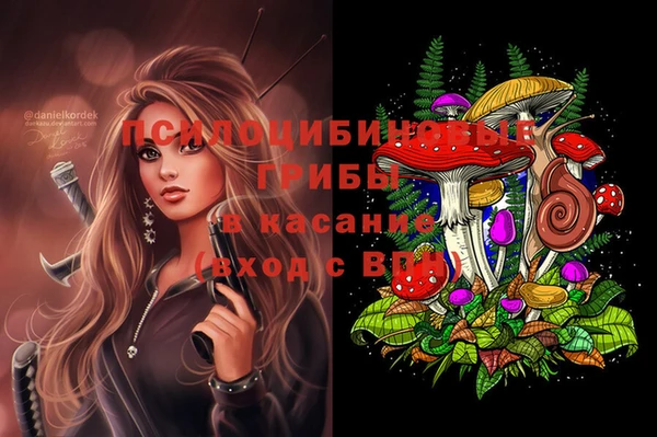 таблы Верхний Тагил