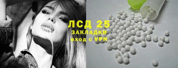 сатива Покачи