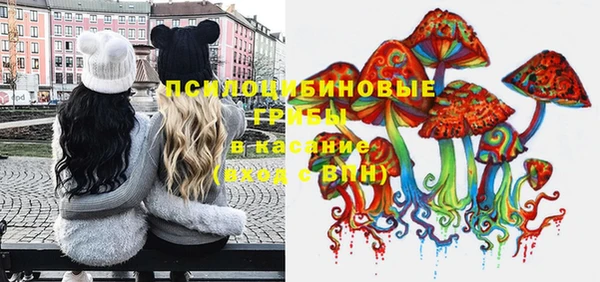 сатива Покачи