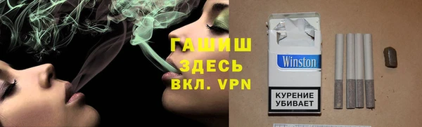 сатива Покачи