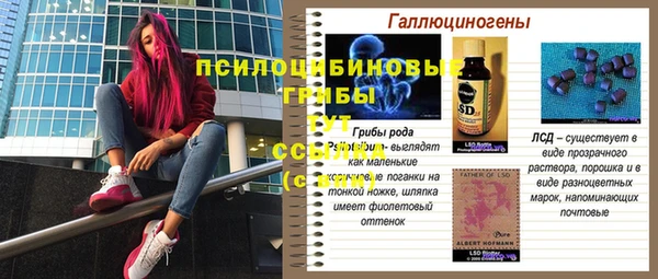 таблы Верхний Тагил