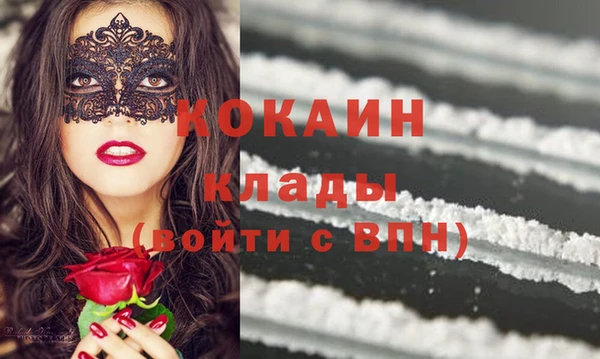 сатива Покачи
