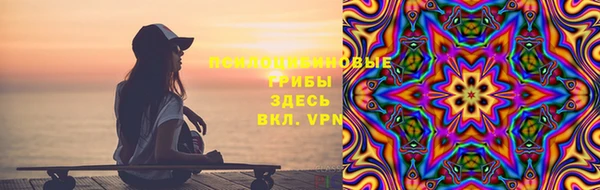 сатива Покачи