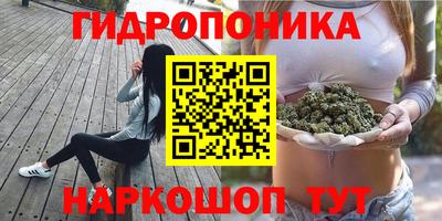 прущие крисы Дубна