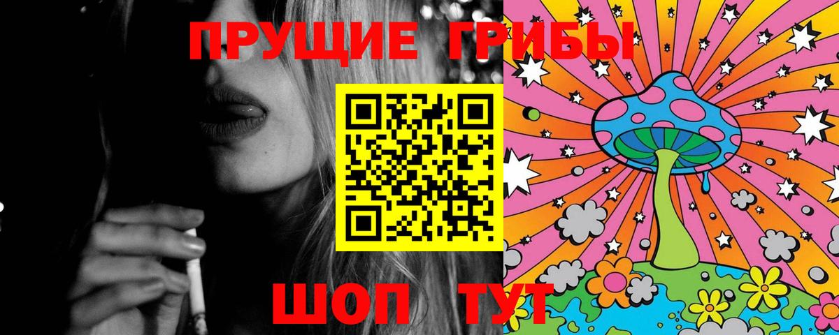 Псилоцибиновые грибы Psilocybine cubensis  Вход с VPN  Скопин 